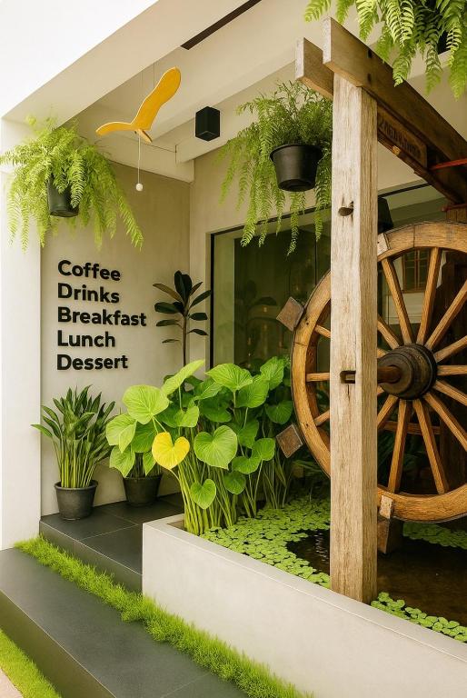 Beanstay hostel – Phuket